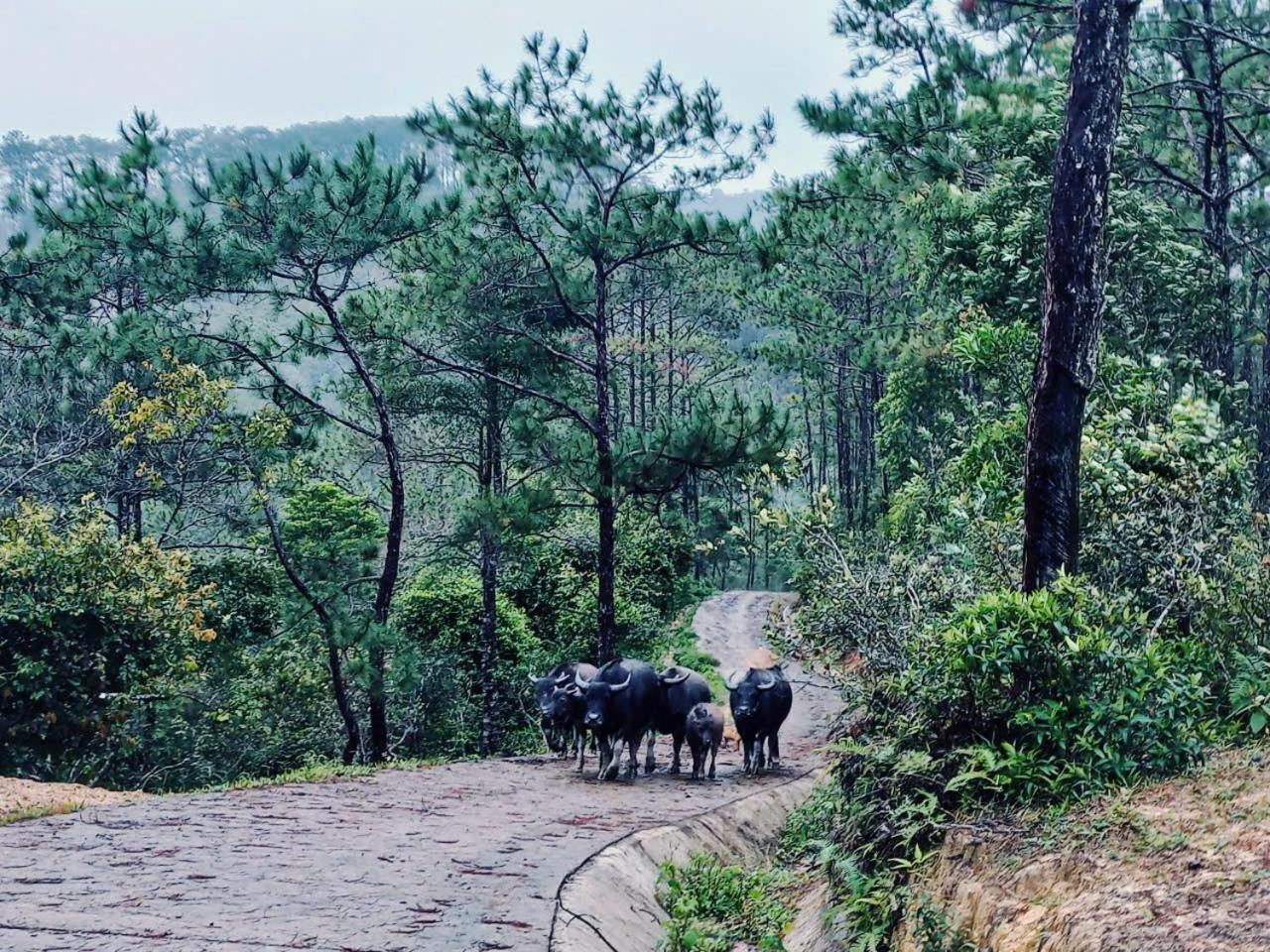 Homestay Niem T'Ri Mang Pen Kon Von Kla 外观 照片